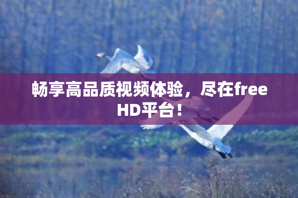 畅享高品质视频体验，尽在freeHD平台！