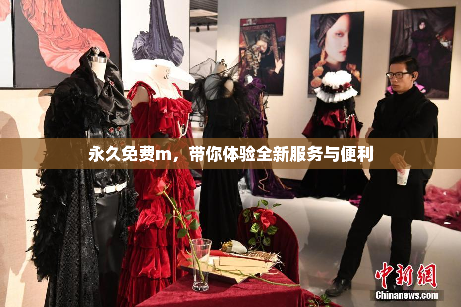 永久免费m，带你体验全新服务与便利