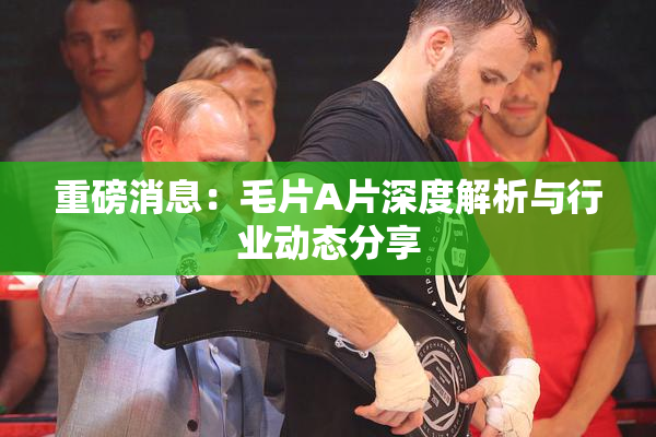 重磅消息：毛片A片深度解析与行业动态分享