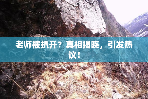 老师被扒开？真相揭晓，引发热议！