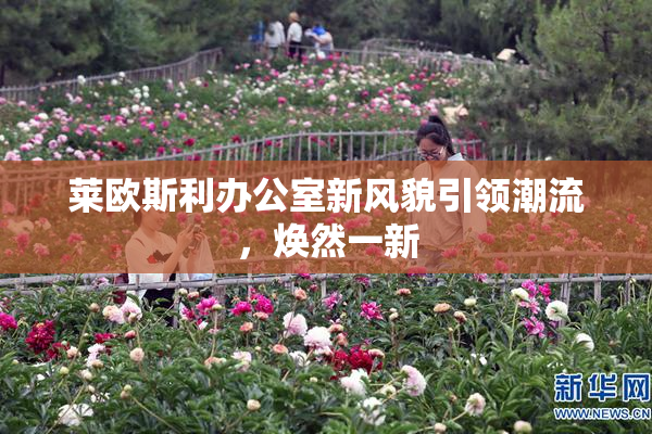 莱欧斯利办公室新风貌引领潮流，焕然一新