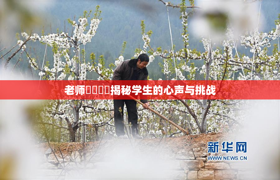老师❌‌❌‌揭秘学生的心声与挑战