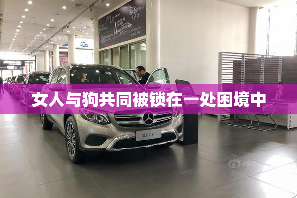 女人与狗共同被锁在一处困境中