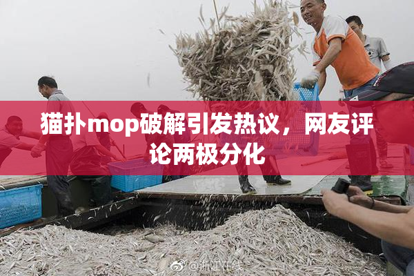 猫扑mop破解引发热议，网友评论两极分化