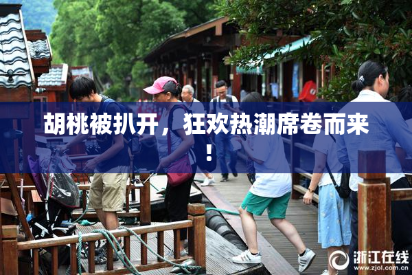 胡桃被扒开，狂欢热潮席卷而来！
