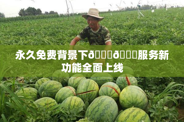 永久免费背景下🔞🔞服务新功能全面上线
