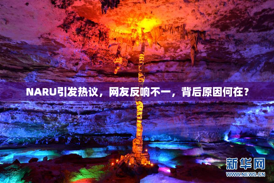 NARU引发热议，网友反响不一，背后原因何在？