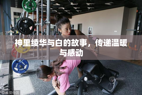 神里绫华与白的故事，传递温暖与感动