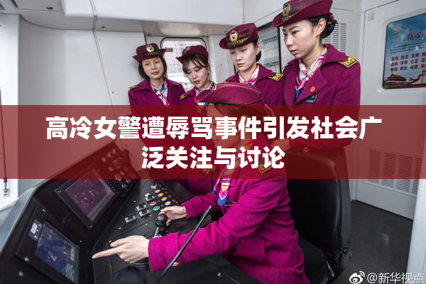 高冷女警遭辱骂事件引发社会广泛关注与讨论
