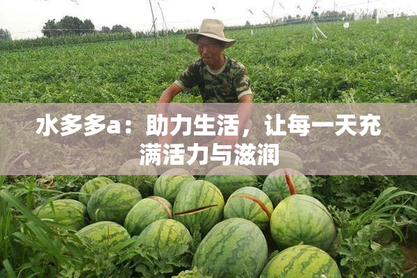 水多多a：助力生活，让每一天充满活力与滋润