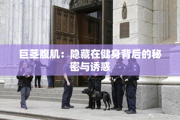 巨茎腹肌：隐藏在健身背后的秘密与诱惑