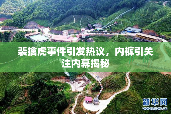 裴擒虎事件引发热议，内裤引关注内幕揭秘