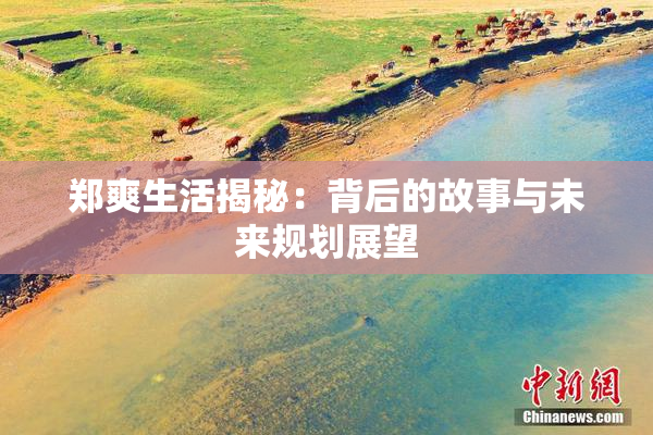 郑爽生活揭秘：背后的故事与未来规划展望