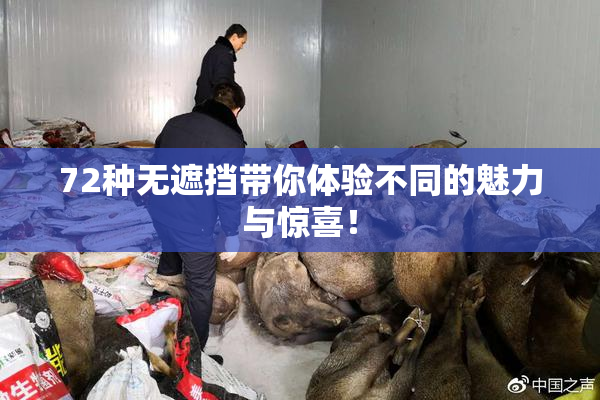 72种无遮挡带你体验不同的魅力与惊喜！