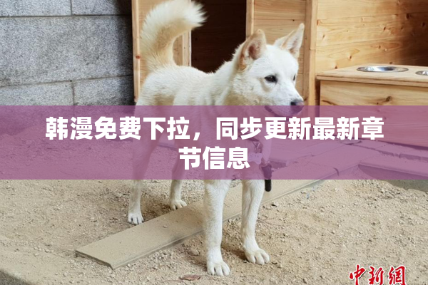 韩漫免费下拉，同步更新最新章节信息