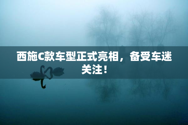 西施C款车型正式亮相，备受车迷关注！