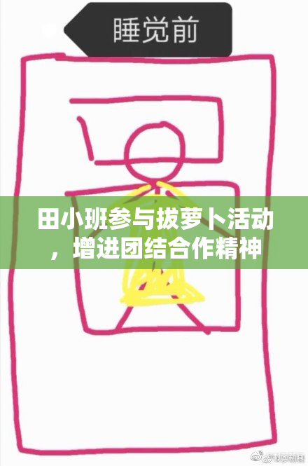田小班参与拔萝卜活动，增进团结合作精神
