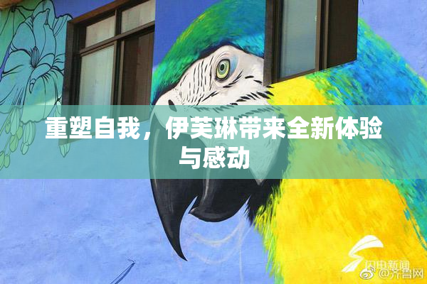 重塑自我，伊芙琳带来全新体验与感动