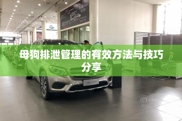 母狗排泄管理的有效方法与技巧分享