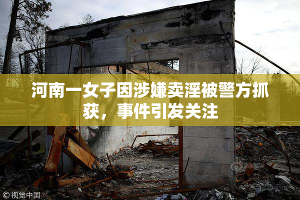 河南一女子因涉嫌卖淫被警方抓获，事件引发关注