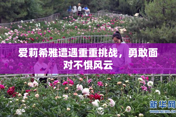 爱莉希雅遭遇重重挑战，勇敢面对不惧风云