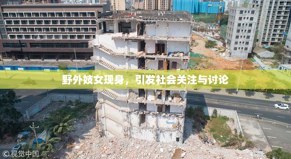 野外妓女现身，引发社会关注与讨论